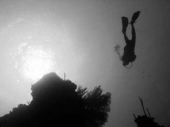 Grand Cayman, North Wall dive, depth 110 feet by Michael Schlenk 